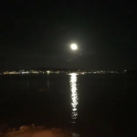 Marko * Trogir